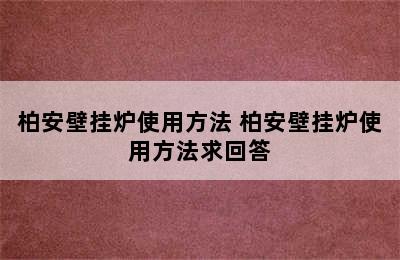 柏安壁挂炉使用方法 柏安壁挂炉使用方法求回答